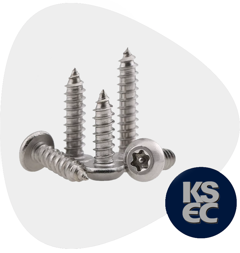 Stainless Steel Screws
